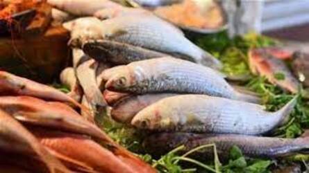 أسعار الأسماك اليوم الخميس 29-12-2022 في الأسواق المصرية