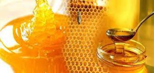 كيف تعرف العسل الأصلي